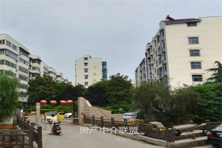 盐业公司家属院2室1厅1卫80m240万